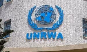 Cảnh báo tác động khi UNRWA ngừng hoạt động đối với trẻ em Palestine