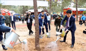 Phòng chống cháy rừng, ngăn chặn hành vi khai thác lâm sản trái phép
