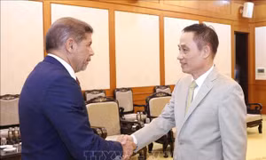 Tăng cường quan hệ trên kênh đảng nhằm thúc đẩy hợp tác Việt Nam - Dominicana