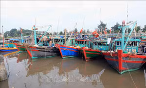 Hải Phòng sẵn sàng các phương án ứng phó với bão số 1