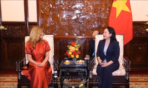 Phó Chủ tịch nước Võ Thị Ánh Xuân tiếp Trưởng đại diện UNICEF tại Việt Nam