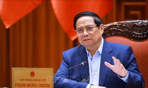 Thích ứng linh hoạt, hiệu quả với biến đổi khí hậu tại Đồng bằng sông Cửu Long theo chiều thuận thiên