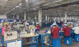 Quy định về cơ chế chuyển tiếp việc sử dụng bao bì, nhãn cũ khi đổi tên doanh nghiệp