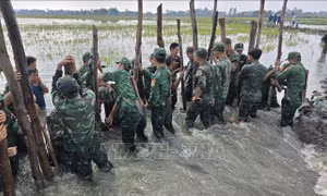 Tây Ninh huy động lực lượng khẩn trương khắc phục sự cố đê bao