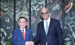 Ủy viên Bộ Chính trị, Thường trực Ban Bí thư Trần Cẩm Tú hội kiến Tổng thống Singapore Tharman Shanmugaratnam