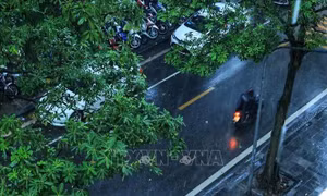 Ứng phó bão số 3: Thủ đô Hà Nội mưa lớn, cục bộ có nơi 500 mm, gió giật cấp 8