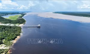 Brazil tạm dừng nạo vét sông Amazon
