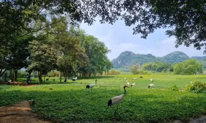 LHQ thúc đẩy nỗ lực bảo vệ đa dạng sinh học toàn cầu