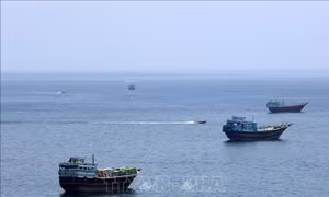 Oman thiết lập hành lang hàng hải tạm thời qua eo biển Hormuz 