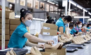 Phát triển nhân lực chất lượng cao đáp ứng yêu cầu các ngành, lĩnh vực
