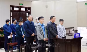 Viện Kiểm sát đề nghị giảm án cho các bị cáo trong vụ Thuận An