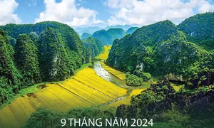 Chín tháng năm 2024, GRDP của Ninh Bình tăng 8,45%