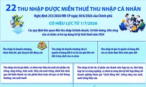 22 khoản thu nhập được miễn thuế thu nhập cá nhân