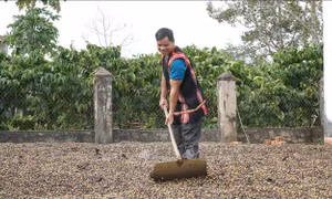 Trưởng thôn Châm Aneh - gương sáng trong áp dụng khoa học kỹ thuật vào sản xuất