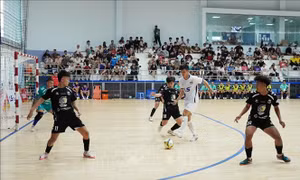500 triệu đồng cho đội vô địch giải Futsal quốc gia 2026