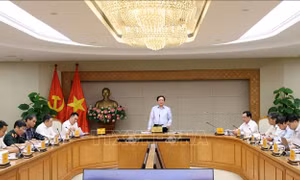 Tập trung vào các lĩnh vực thiết yếu khi phân bổ vốn thực hiện Chương trình mục tiêu quốc gia