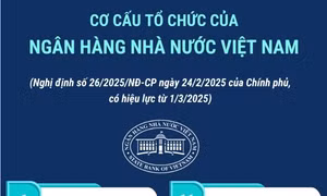Cơ cấu tổ chức của Ngân hàng Nhà nước Việt Nam