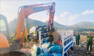 Phát hiện, tiêu hủy 1,3 tấn nội tạng động vật không rõ nguồn gốc