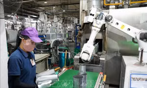Điều kiện cấp giấy phép kinh doanh cho tổ chức kinh tế có vốn đầu tư nước ngoài
