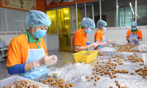 Đặc sản dừa sáp 'cháy hàng', sản lượng tăng mạnh dịp Tết