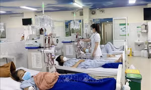 Bệnh thận mạn là 1 trong 10 nguyên nhân hàng đầu gây tử vong tại Việt Nam