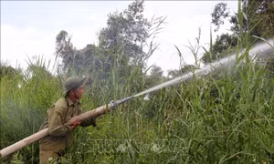 Vườn quốc gia U Minh Thượng tập trung phòng, chống cháy cao điểm mùa khô