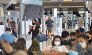 Thái Lan cảnh báo trẻ nhỏ là nhóm dễ bị tổn thương nhất do virus Nipah