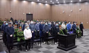 Ngày 15/5, xét xử phúc thẩm vụ Việt Á