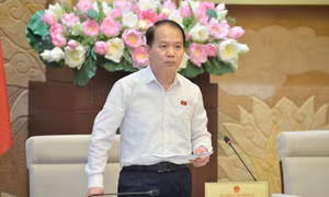 Phiên họp toàn thể lần thứ 23 Ủy ban Pháp luật của Quốc hội