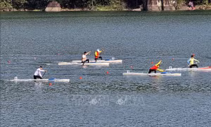 Gần 500 vận động viên tranh giải đua thuyền Rowing và Canoeing quốc gia tại Đà Nẵng