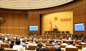 Thông cáo báo chí số 24, Kỳ họp thứ 7, Quốc hội khóa XV
