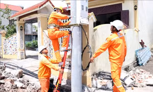 Ninh Bình: Giúp người dân sớm ổn định cuộc sống, phục hồi sản xuất sau thiên tai