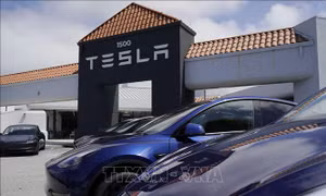 Giá trị của Tesla 'bốc hơi' gần 100 tỷ USD chỉ trong một phiên