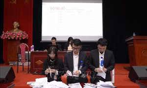 Phiên đấu giá quyền sử dụng đất đầu tiên tại xã Quang Minh (Hà Nội)