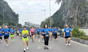 Cảnh giác các trang fanpage giả mạo Giải chạy Marathon quốc tế di sản Hạ Long