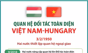 Quan hệ Đối tác toàn diện Việt Nam - Hungary