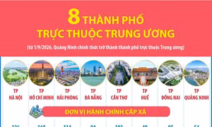 Thông tin về 8 thành phố trực thuộc Trung ương