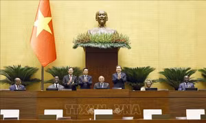 Hợp tác nghị viện là trụ cột, nền tảng quan trọng trong quan hệ Việt Nam - Côte d’Ivoire