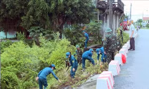 Hà Nội, Ninh Bình khẩn trương đảm bảo an toàn đê điều ứng phó lũ trên các sông