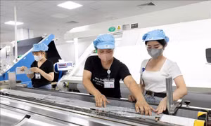 Tháng 8, tăng mạnh số doanh nghiệp thành lập mới và vốn đăng ký