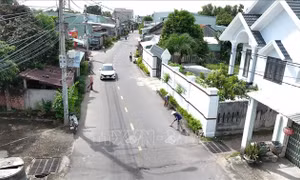 Quy chế hoạt động của Ban Chỉ đạo Trung ương Chương trình xây dựng nông thôn mới