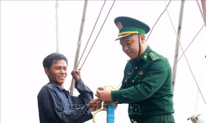 Kiên quyết xử lý các trường hợp gây ảnh hưởng đến nỗ lực chung gỡ 'thẻ vàng' IUU