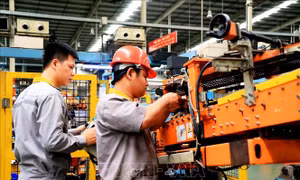 Tiền lương bình quân người lao động Tây Ninh đạt hơn 11 triệu đồng/tháng