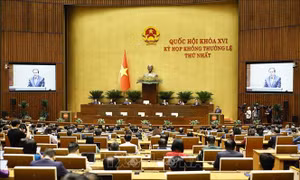 Bổ sung dự án Luật Thực hiện dân chủ ở cơ sở (sửa đổi) vào Chương trình lập pháp năm 2026