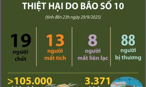Thiệt hại do bão số 10 (tính đến 23h ngày 29/9/2025)