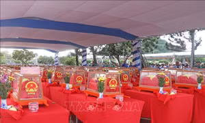 Đội K93 quy tập được 11 bộ hài cốt liệt sĩ trên địa bàn An Giang