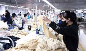 Kiện toàn Hội đồng tiền lương quốc gia