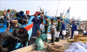 Đồng Tháp triển khai 'Tháng cao điểm' chống khai thác IUU