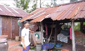 Cuộc sống cơ cực trong... dự án treo