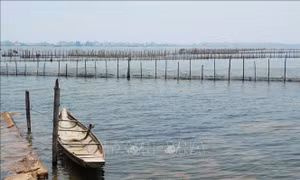 Đánh thức không gian du lịch ở cửa biển Thuận An